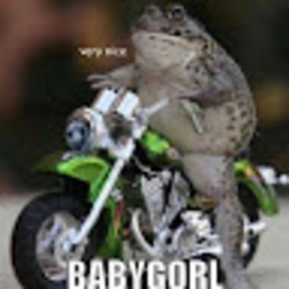 Meet your Posher, Adriana - Picture 1 of 1